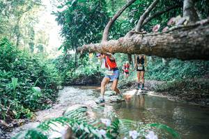 BIB: 
                            <button type="button" onclick="openModal(25438267)" class="btn btn-primary btn-sm float-right btn-popup" data-toggle="modal" data-target=".modal-high-quality">
                        <i class="fas fa-shopping-cart"></i> Add to Cart
                    </button>
                                            <button type="button" onclick="isThisMe(25438267, true)" class="btn btn-success btn-sm float-right btn-popup btn-isme hidden" data-toggle="tooltip" data-placement="bottom" title="นี่คือรูปของคุณใช่ไหม คลิกที่นี่เพื่อเอาเข้าอัลบั้ม">
                        <i class="fas fa-plus"></i> Add to album
                    </button>
                    <button type="button" onclick="isThisMe(25438267, false)" class="btn btn-warning btn-sm float-right btn-popup btn-isnotme hidden">
                        <i class="fas fa-ban"></i> Remove from album
                    </button>